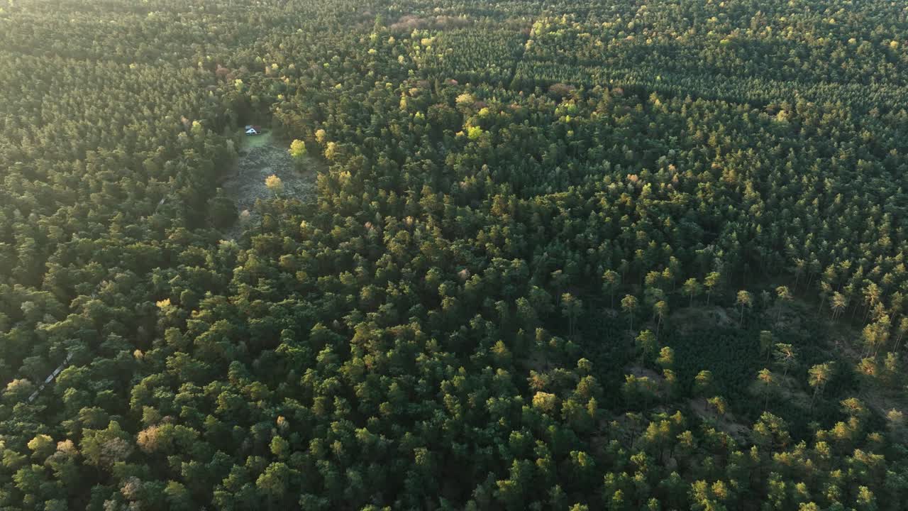숲의 천막을 공중에서 볼 수 있습니다.
