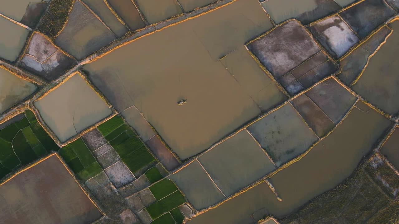 arrozales acuosos en bangladesh, vista aérea de arriba hacia abajo