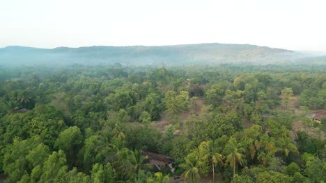 Verdor-Aldea-Vista-De-Pájaro-Drone-Moviendo-Frente-Malvan