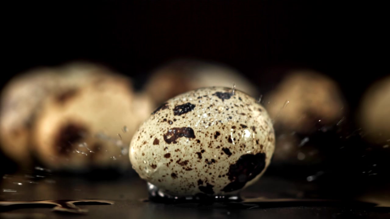 Quail Egg Falling in Slow Motion onto a Wet Surface