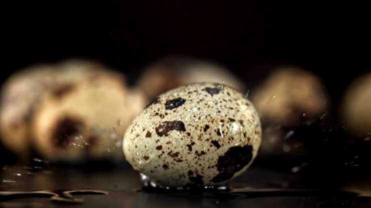 Quail Egg Falling in Slow Motion onto a Wet Surface