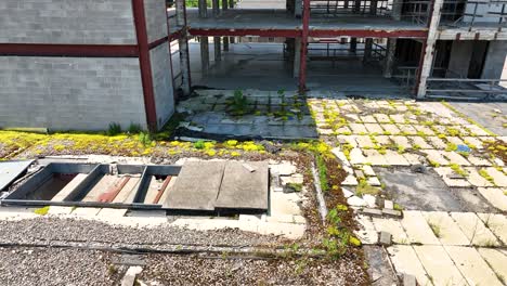 el techo del primer piso cubierto de plantas después de que se detuviera la construcción.