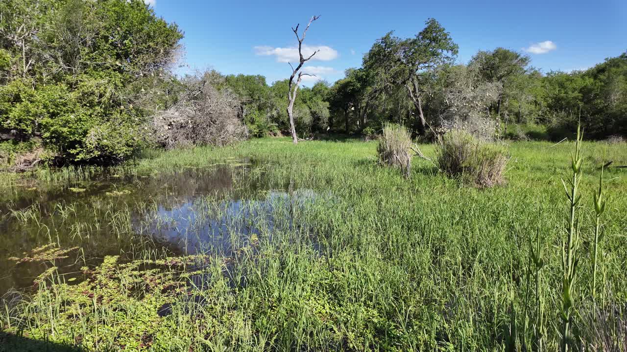 Push-in past telephoto camera lens in bird hide overlooking natural wetland