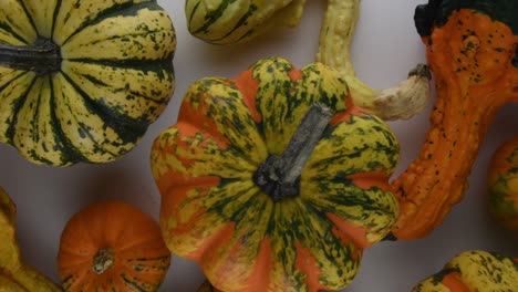 la calabaza vuela por encima de la bandeja de izquierda a derecha
