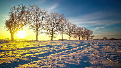 Pintoresco-Tiro-De-Lapso-De-Tiempo-De-La-Puesta-De-Sol-Dorada-Cayendo-Detrás-De-árboles-Sin-Hojas-En-El-Paisaje-De-Invierno