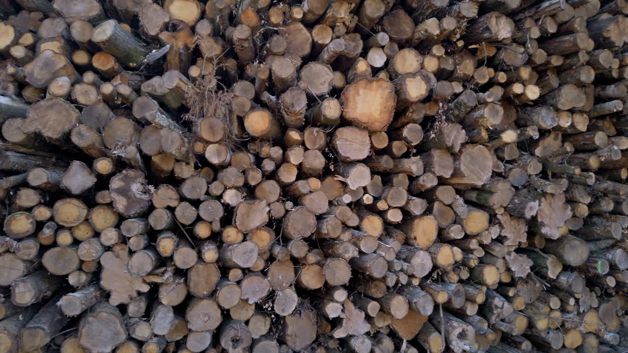 농장의 거대한 통나무 더미