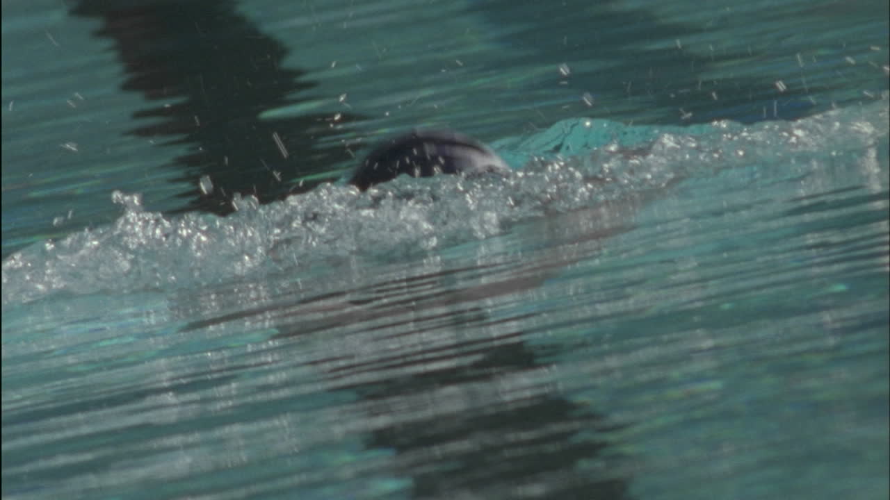 A man swims breaststroke style in a swimming pool