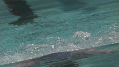 un hombre nada estilo braza en una piscina