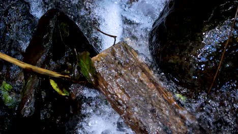 a steady stream of water cascades over a mossy log and dark rocks in a forested area, captured in natural daylight with minimal camera movement