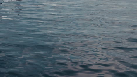 Calm-blue-water-flowing-in-lake