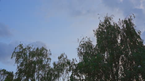 Zeitraffer-Der-Ziehenden-Wolken-Bei-Sonnenuntergang-Zur-Blauen-Stunde