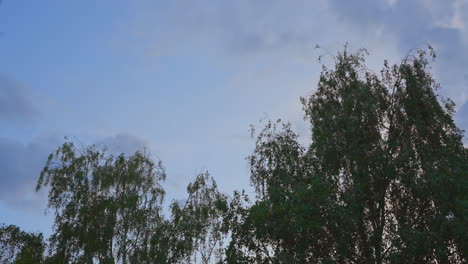 el lapso de tiempo de las nubes en movimiento al atardecer de la hora azul