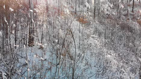 Tiro-De-Dron-En-Aumento-En-El-Bosque-Nevado-Y-Rayos-De-Sol-Entre-Los-árboles-1