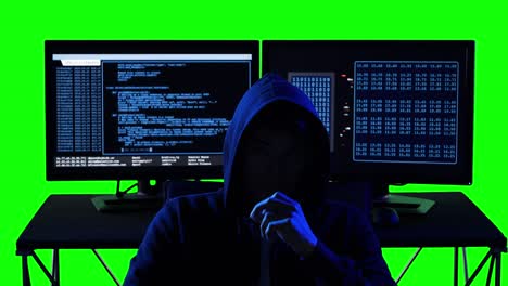 hacker scripting computer language programs and data processing with green screen background. hacker running source code and monitor display programs.