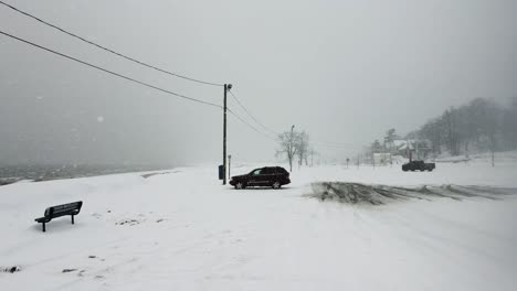 a beach on the shore of lake michigan during a lake effect snow