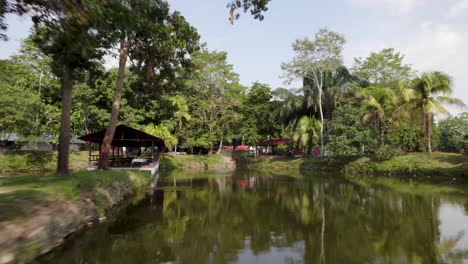 estanques pintorescos y tranquilos en un parque durante el día - drone adelante