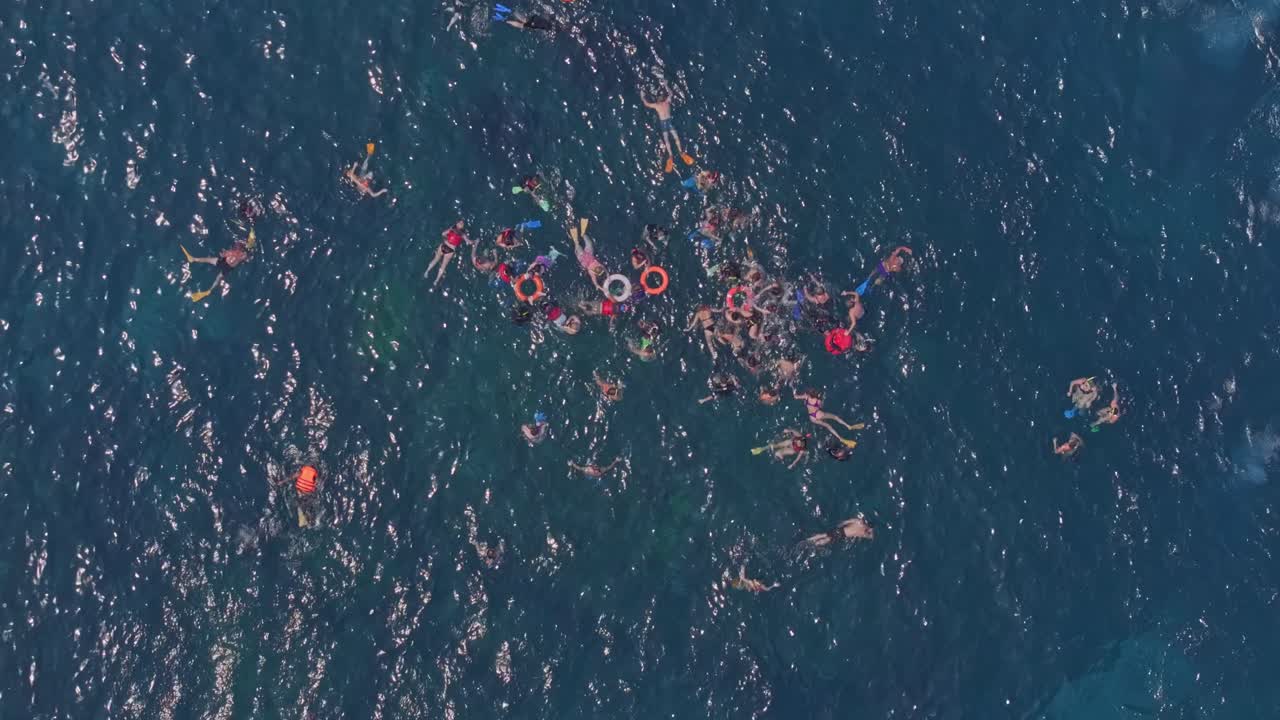 Snorkelers amidst manta rays in vibrant blue ocean, Nusa Penida, Indonesia