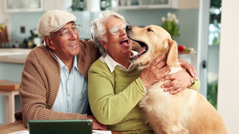 an elderly couple shares a loving moment with their golden retriever