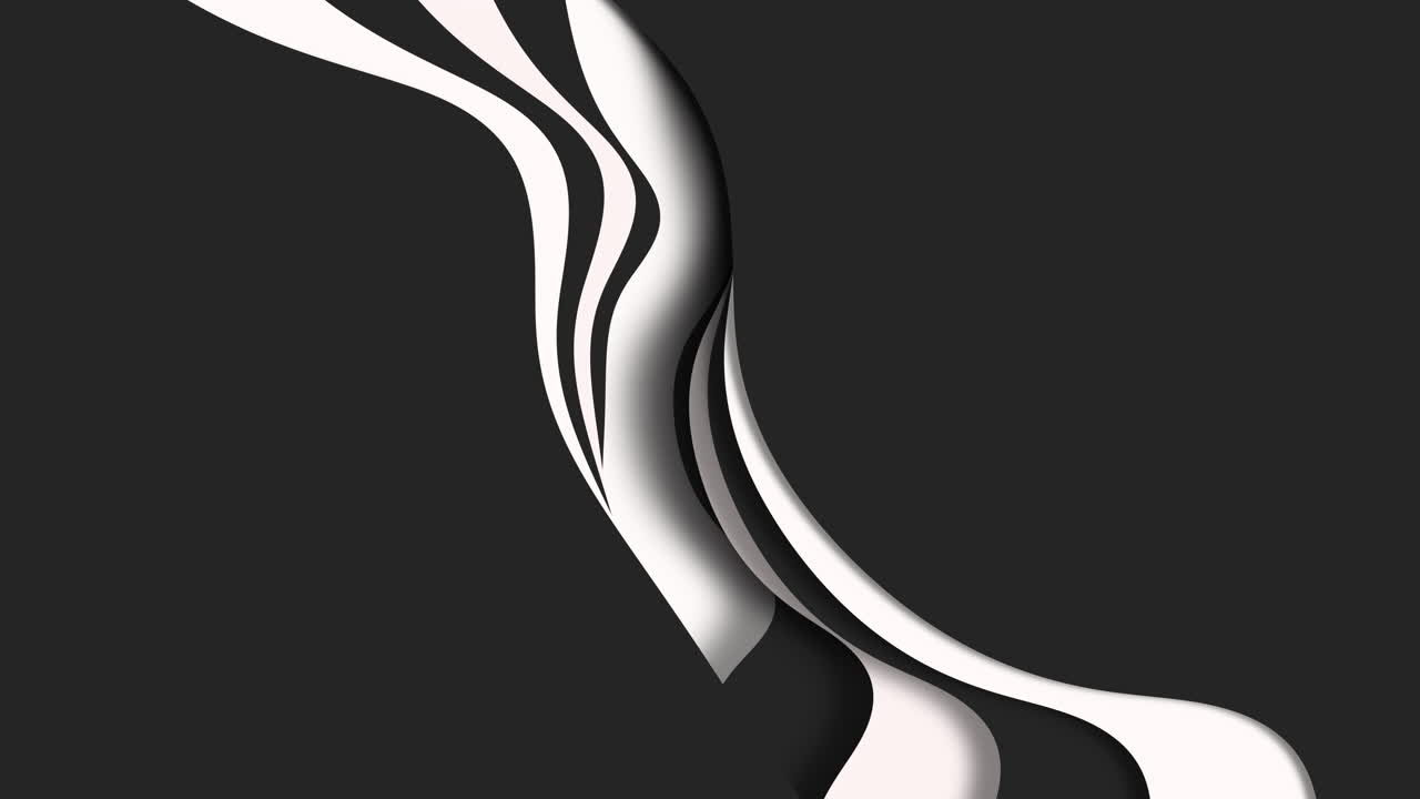 elegante captura monocromática de la concha en un fondo oscuro