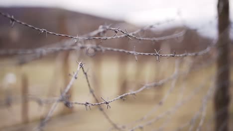 barbed wire - the iron curtain border