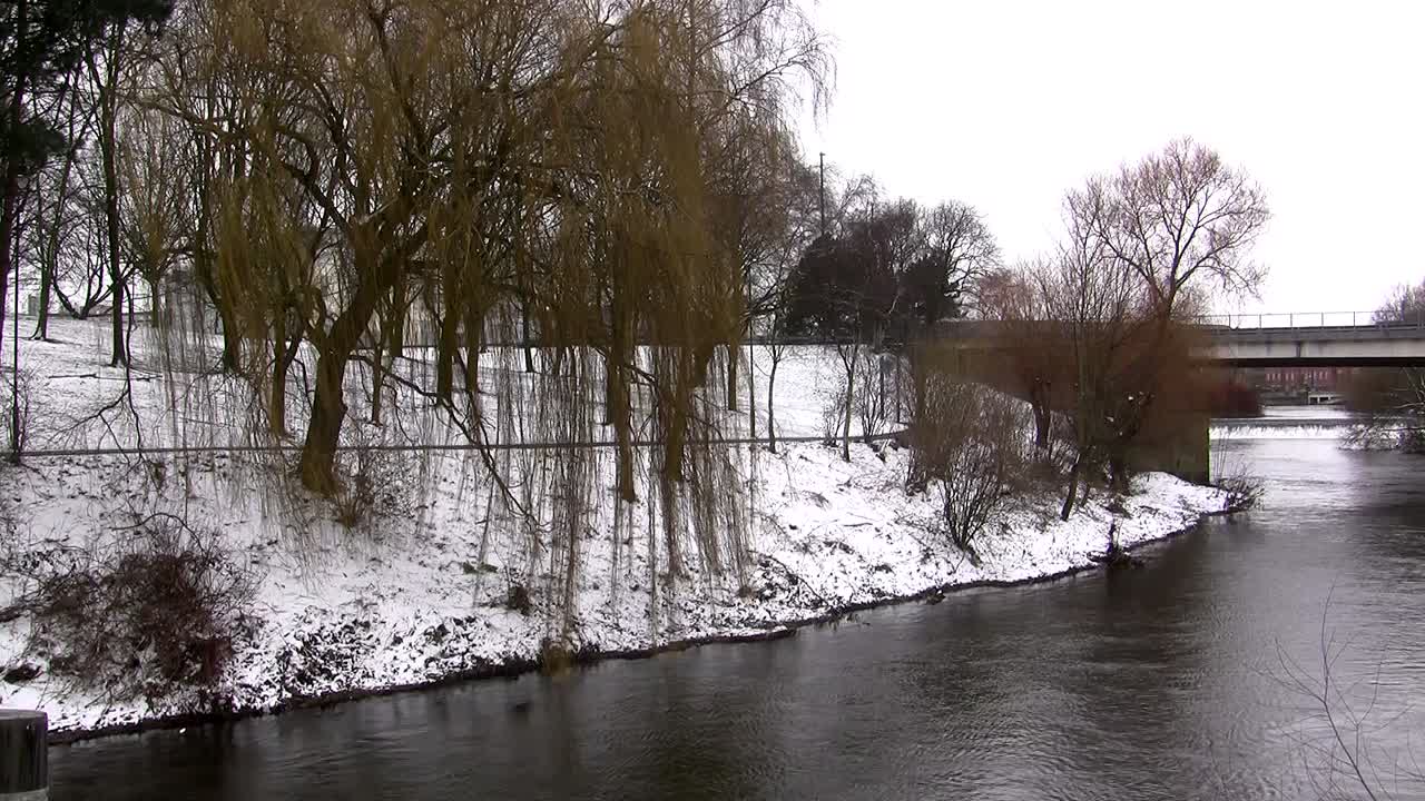 Salici che ondeggiano dolcemente su un argine ghiacciato coperto di neve vicino al fiume