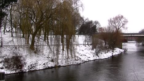 Weidenbäume-Wehen-Sanft-Auf-Gefrorenem,-Schneebedecktem-Ufer-Am-Fluss