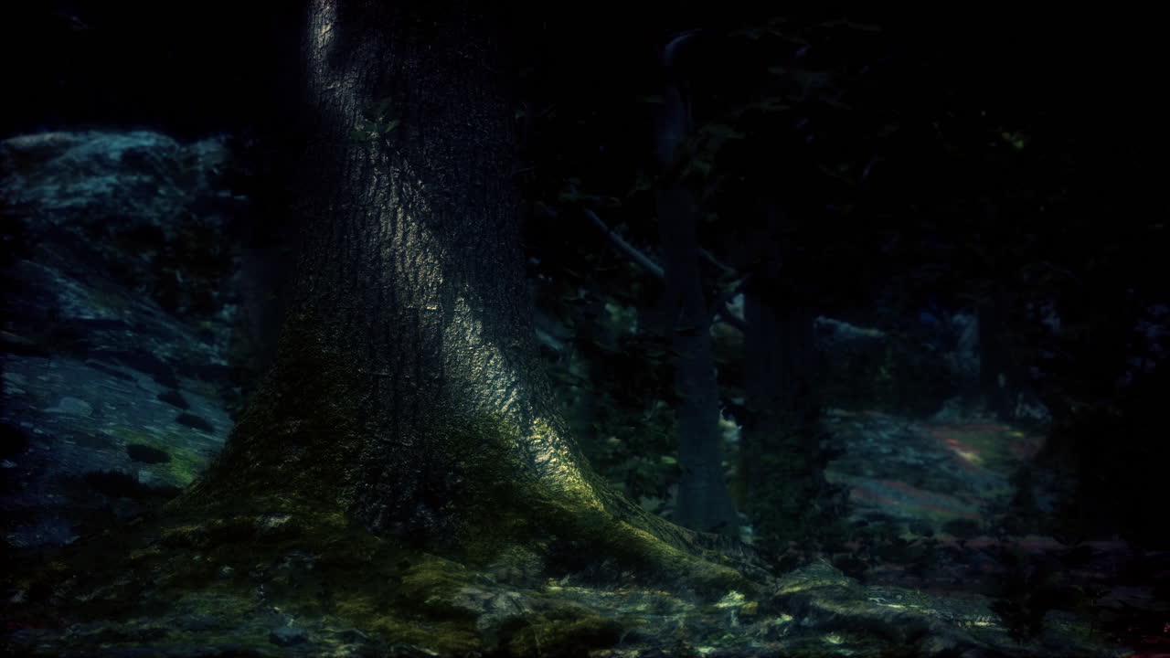 Bosques tropicales en América Central