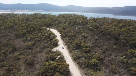 Drone-shot-along-country-road-along-green-island-beach