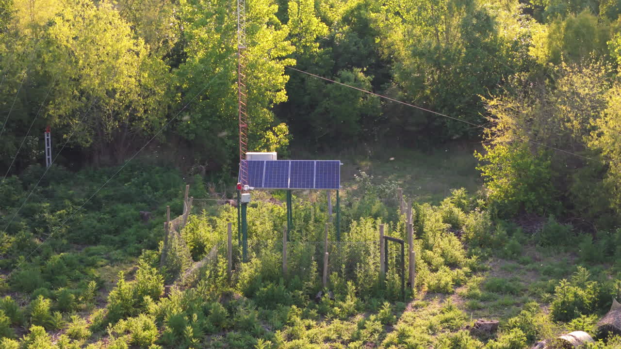 Aerial orbit of small solar panel array surrounded by greenery, renewable energy source in a rural landscape with bugs in air