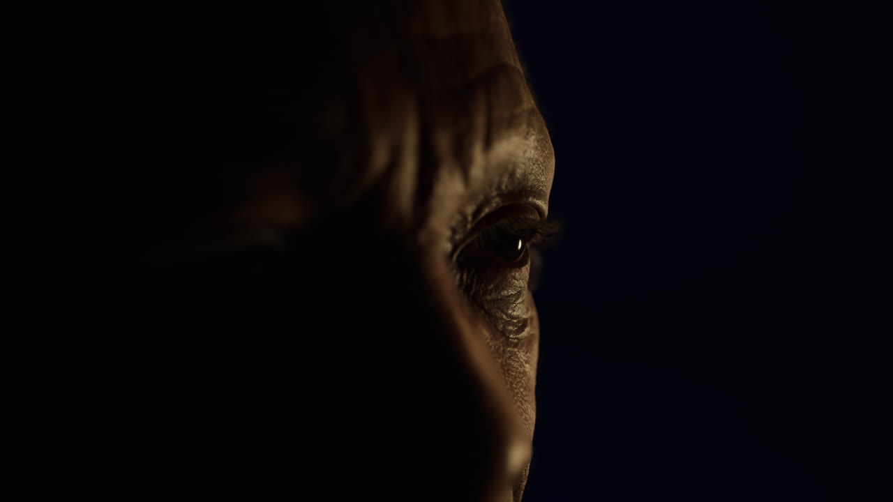 retrato increíblemente detallado de una cara africana