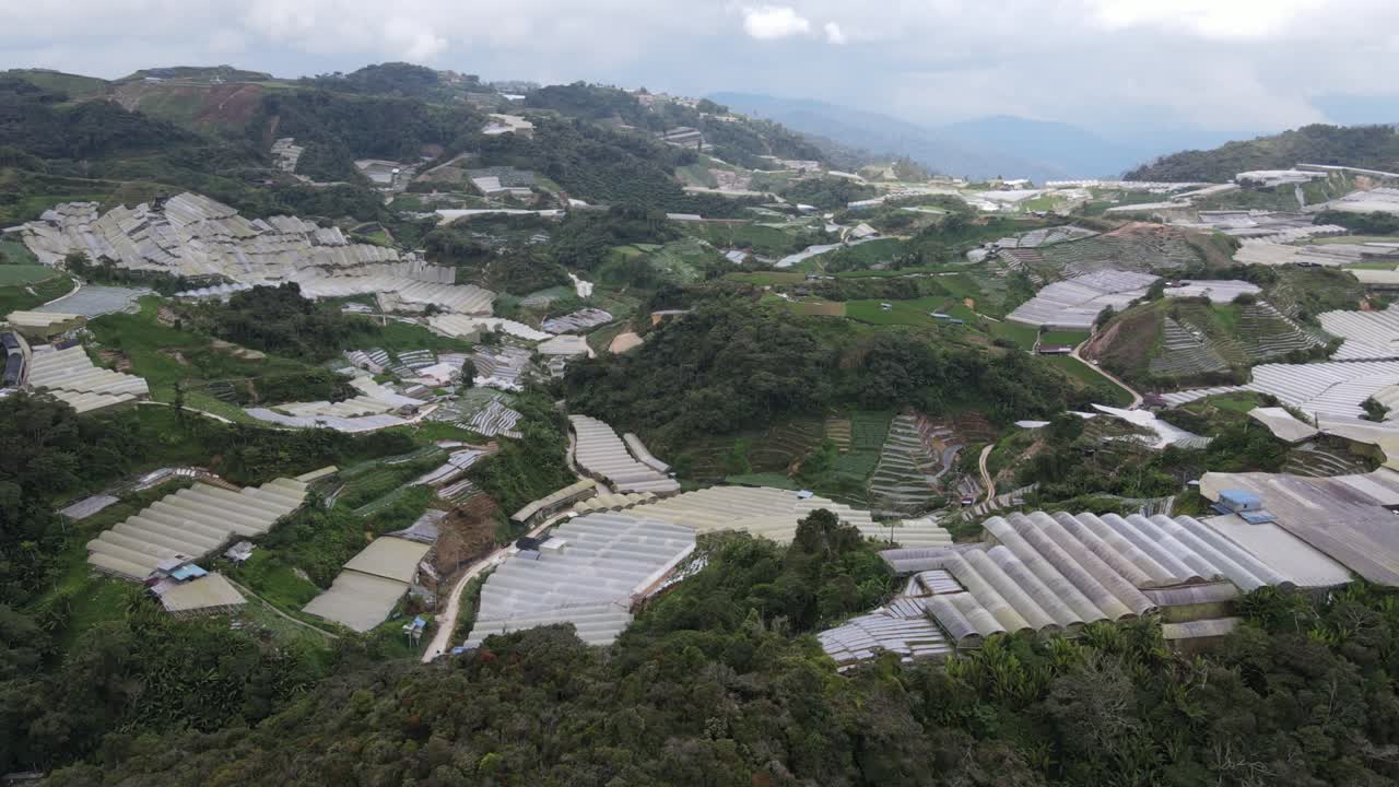 vista general del paisaje del distrito de brinchang dentro del área de cameron highlands de malasia
