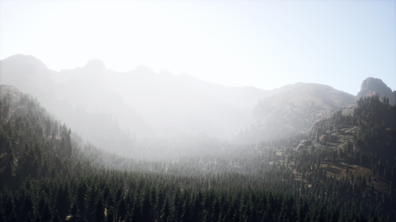 캐나다 의 숲 을 앞세운 웅장 한 산 들