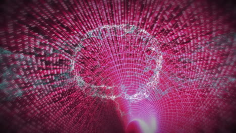 animación del cerebro humano sobre el túnel digital rosa
