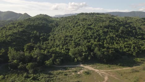 imágenes aéreas de 4k árboles de bosque de selva tropical que giran y se desplazan de derecha a izquierda en el embalse de khlong bod en nakhon nayok, tailandia