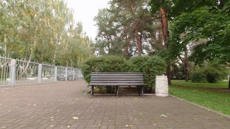 bench in a park