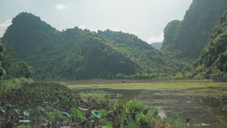 Cemetery-in-water-among-the-green-islets-Vietnam