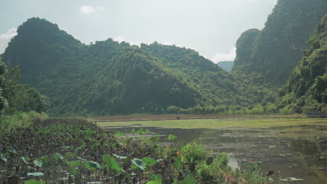 cementerio en el agua entre los islotes verdes vietnam