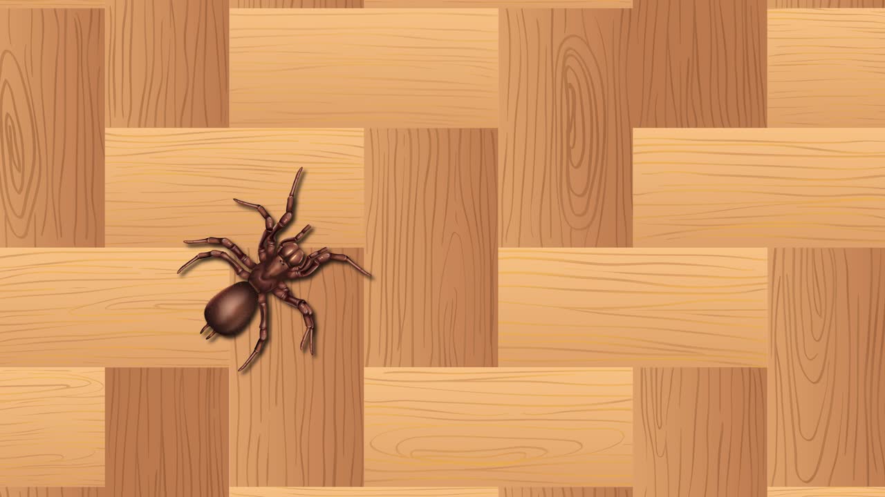 arañas moviéndose a través de una superficie de madera con patrones