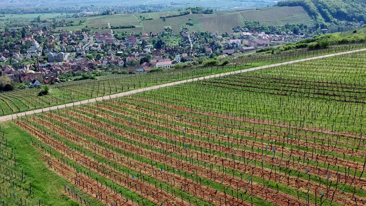 elevación aérea e inclinación tomada sobre viñedos en colinas, hermoso pueblo tradicional en el fondo en el este de francia