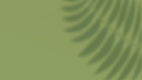 animation of floral pattern with copy space on green background