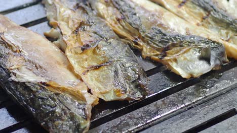 grilled fish fillets on a grill