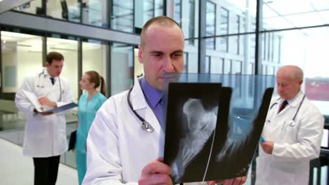 doctor examining x-ray report in corridor