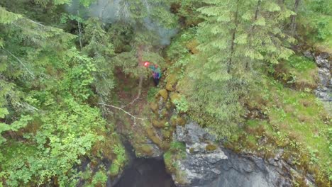 person with flare in mountainous forest