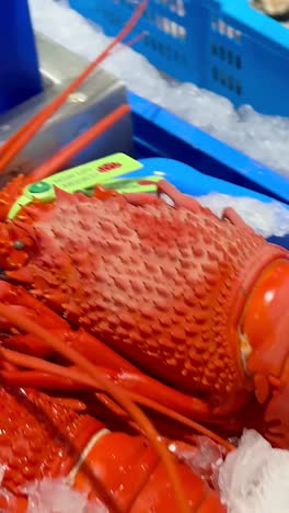 variety of seafood on ice at market