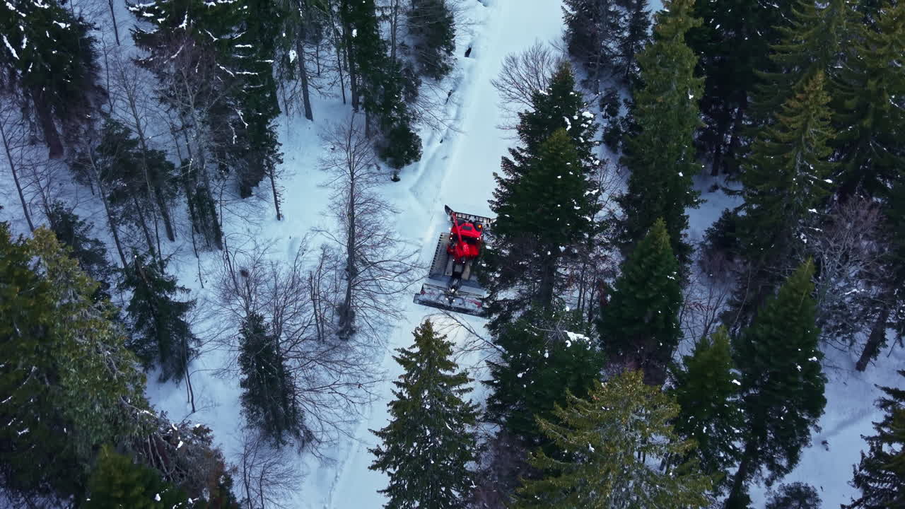 Vista aerea di un gatto delle nevi rosso che prepara una pista da sci in una foresta invernale