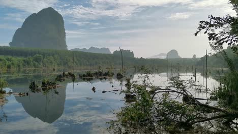 Ein-Blick-Auf-Den-Ruhigen-Morgen-über-Dem-Klong-Wurzelkanal-Und-Dem-Thai-See-In-Krabi,-Thailand