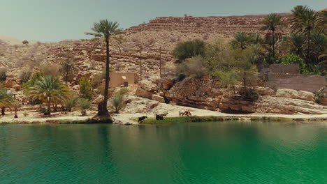 scenic oasis in a mountain valley
