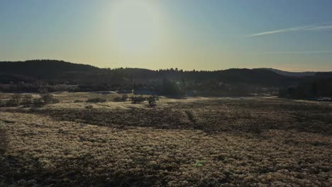 Niedrige-Luftaufnahmen-über-Ein-Feld-Mit-Blick-Auf-Die-Helle-Nachmittagssonne-In-Aberfoyle,-Schottland