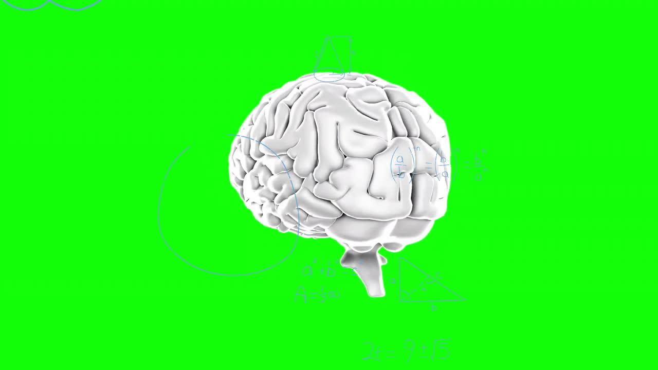 수학적 방정식 위에서 회전하는 뇌의 애니메이션