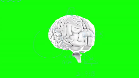 animación de cerebro giratorio sobre ecuaciones matemáticas